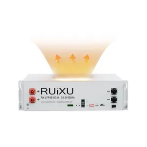 RUiXU RX-LFP48100-H 48V 100Ah (51.2V, 5.12kWh)